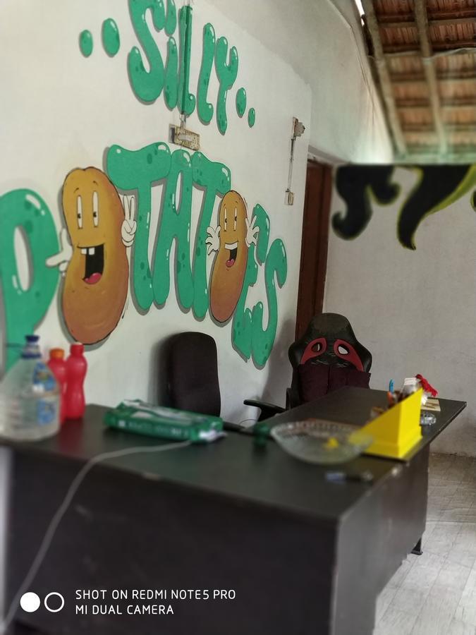 Silly Potatoes Hostel, Hostel Arambol