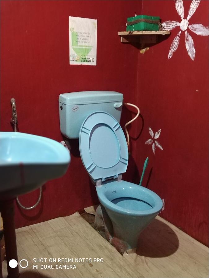 Silly Potatoes Hostel,